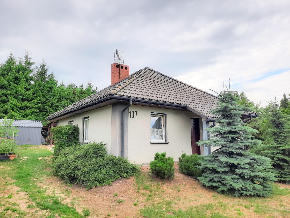 Villa Daglezja Vip Kołczewo Exterior foto